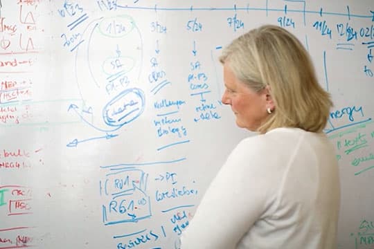 Dr. Karin Hoffmeister inspecting white board.