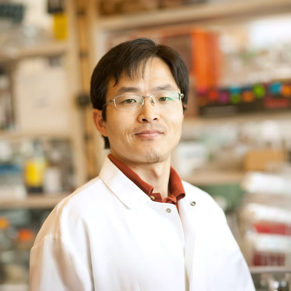 Jieqing  Zhu, PhD profile