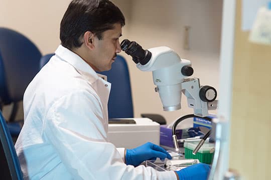 Researcher using a high powered imaging device.
